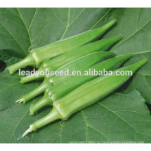 MOK011 Qiuhui высокое qulity гибрид бамия семена для продажи